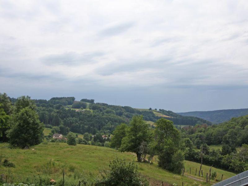 Le Petit Sauceley Hébergement de vacances Faymont